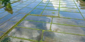 meta-nariadenie-eu-novaco