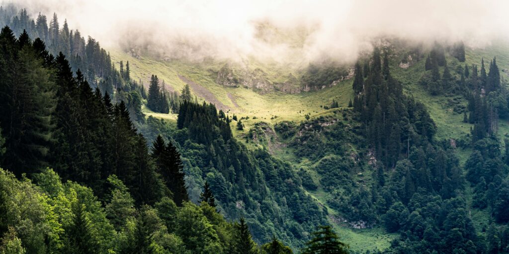 secap-emisná-bilancia-bei-novaco